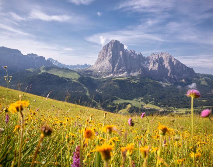 Flowery Dolomites 6+1