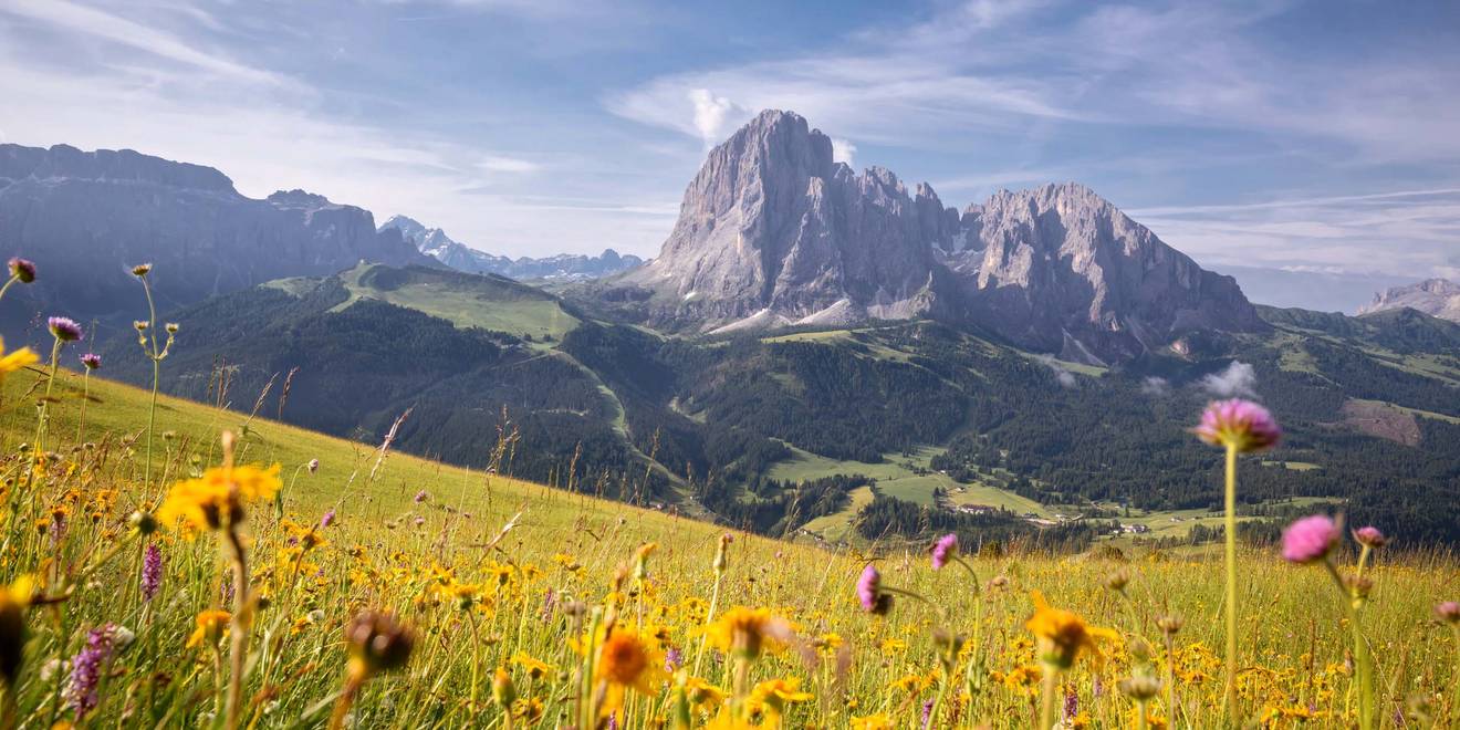 Il Sassolungo