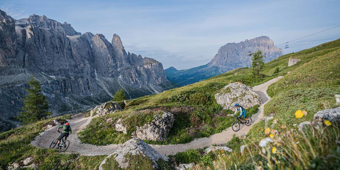 Mountain bike