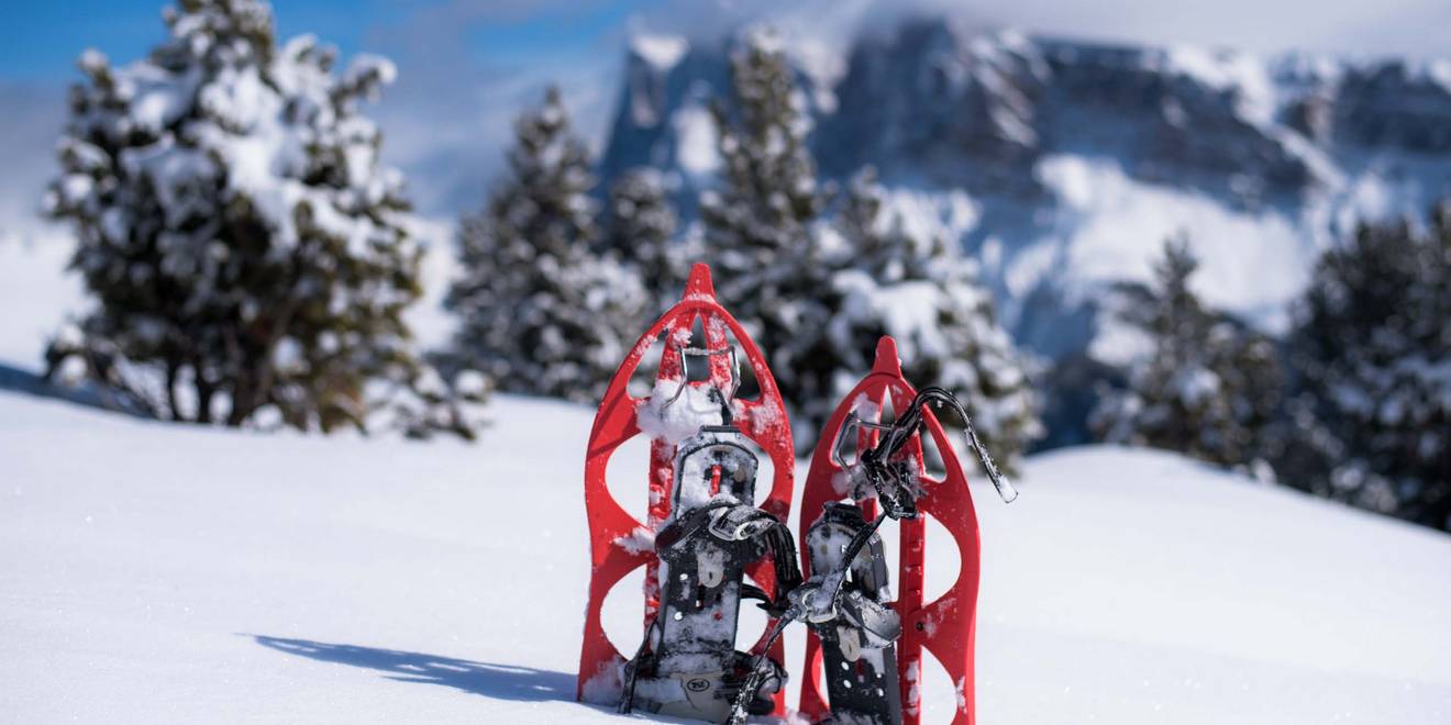 Escursioni sulla neve